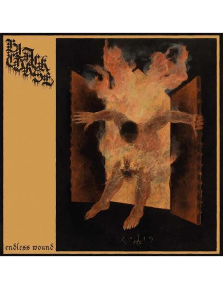 Black Curse - Endless Wound - (CD)