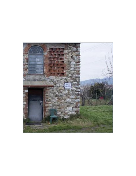 Esterina - Musica Di Provincia - (CD)
