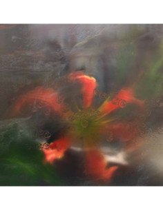 Psammy - Germ In A Population Ofbuildings