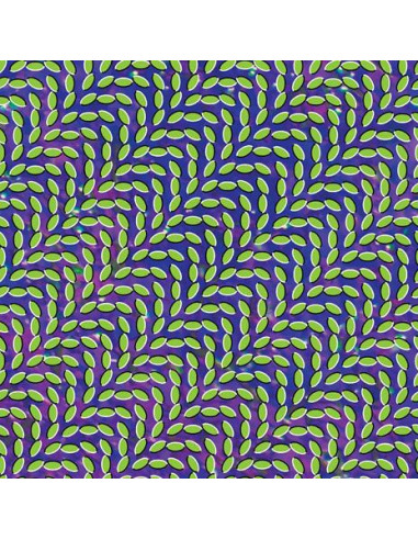 Animal Collective - Merriweather Post...