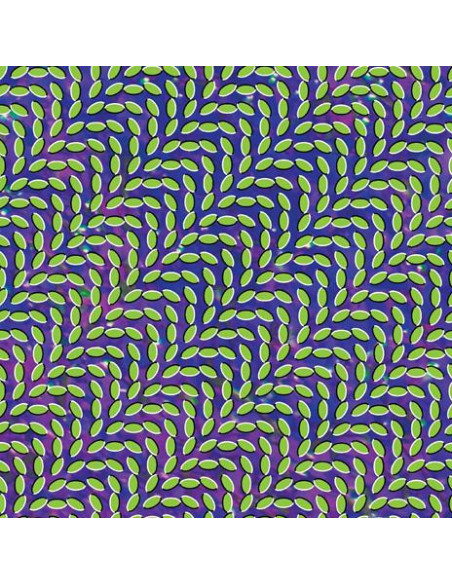 Animal Collective - Merriweather Post Pavilion: 15Th Anniver
