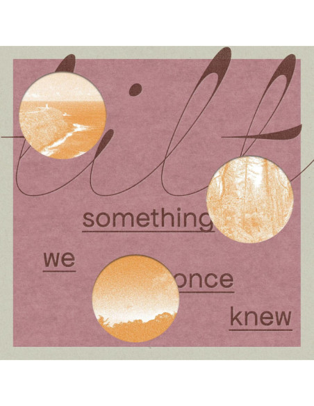 Tilt - Something We Once Knew