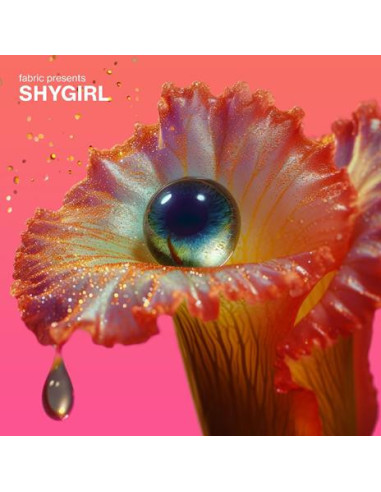 Compilation - Fabric Presents Shygirl