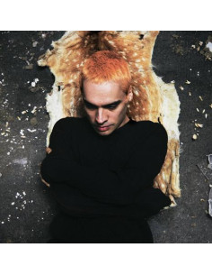 Sega Bodega - Dennis