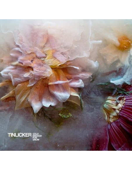 Tinlicker - Cold Enough For Snow