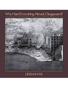 Deerhunter - Why Hasn T Everything Already