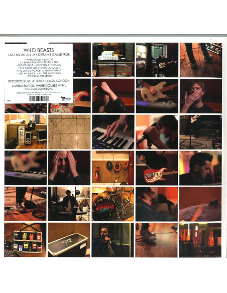 Wild Beasts - Last Night All My Dreams Came (Special Edt.)