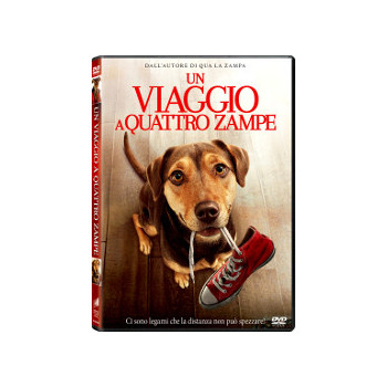 Un Viaggio A Quattro Zampe