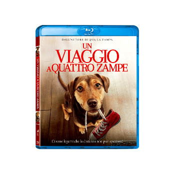 Un Viaggio A Quattro Zampe (Blu Ray)