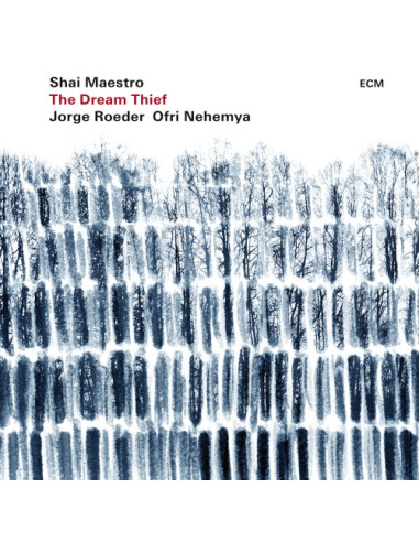 Shai Maestro Trio - The Dream Thief