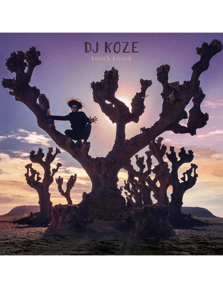 Dj Koze - Knock Knock (2X7p)