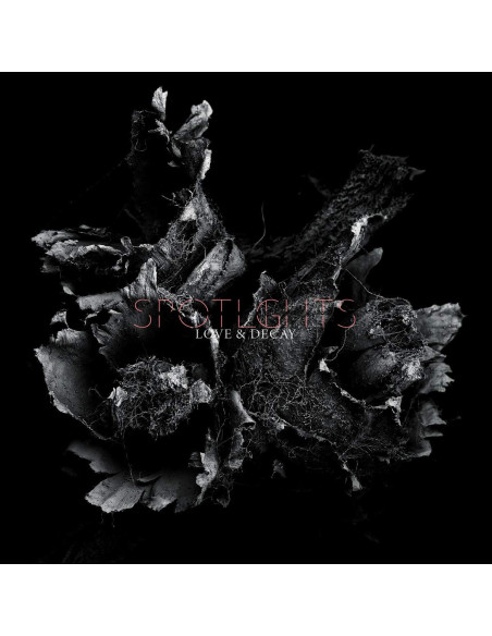 Spotlights - Love and Decay