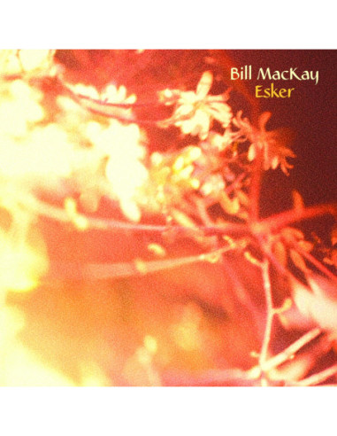 Mackay Bill - Esker