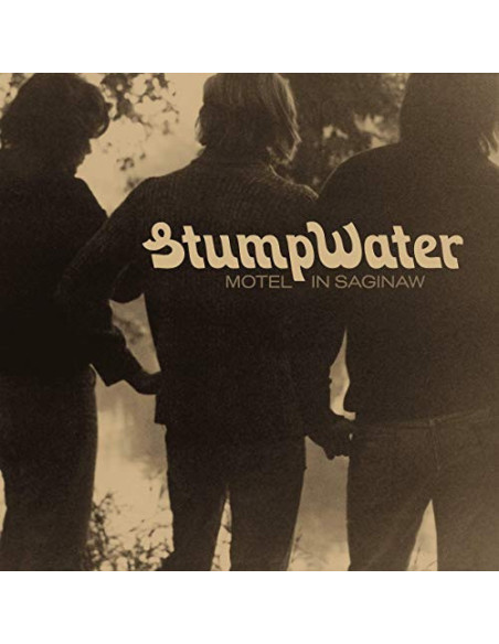 Stumpwater - Motel In Saginaw