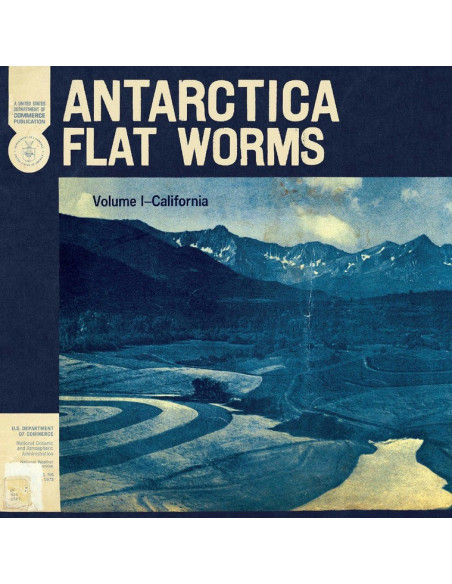 Flat Worms - Antarctica