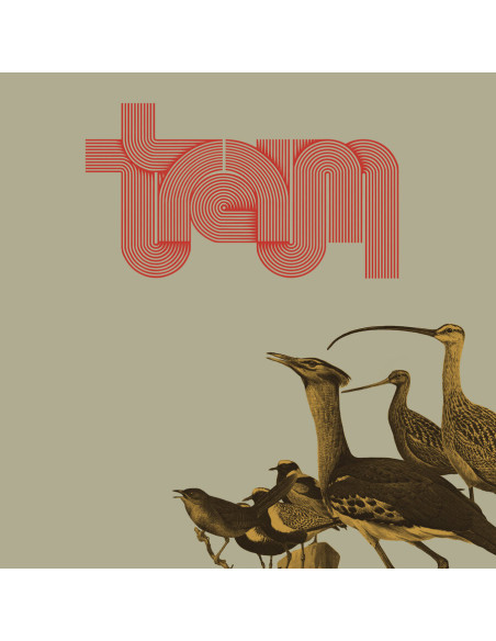 Traum - Traum
