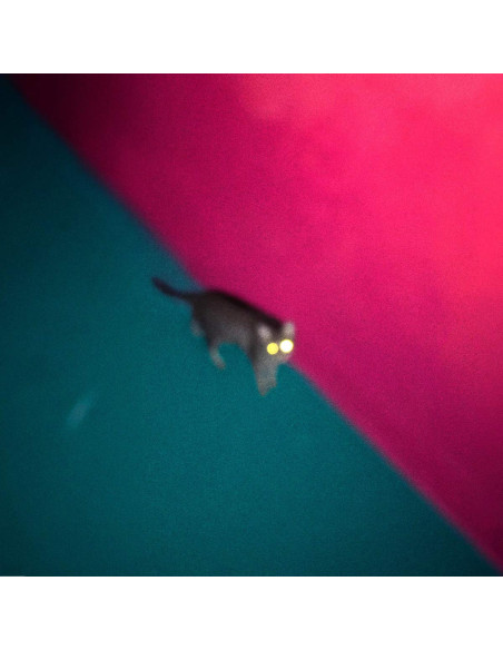Chk Chk Chk (!!!) - Wallop (Vinyl Pink Limited Edt.)