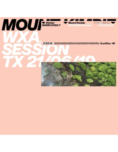 Mount Kimbie - Wxaxrxp Session (12p)