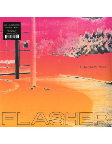 Flasher - Constant Image