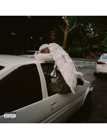 Blood Orange - Negro Swan