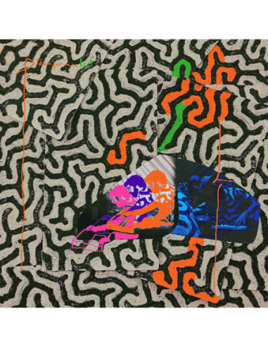 Animal Collective - Tangerine Reef sp