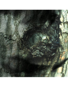 Tiersen Yann - La Valse Des Monstres