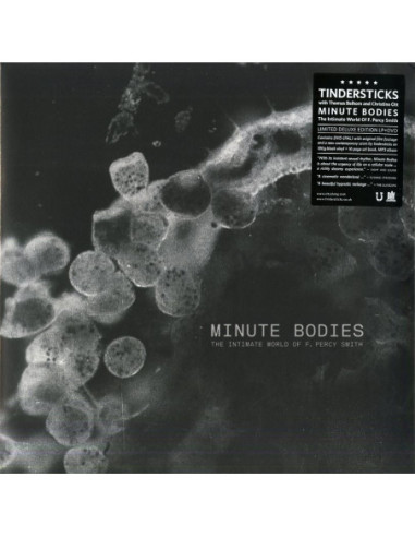 Tindersticks - Minute Bodies (Lp-Dvd)