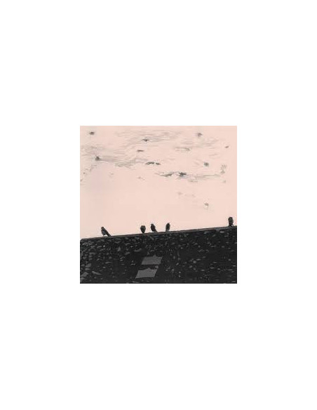 Stuart A Staples - Arrhythmia