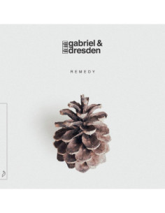 Gabriel and Dresden - Remedy
