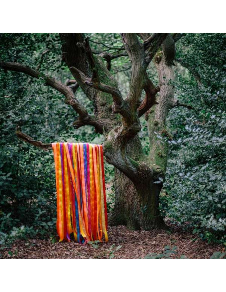 Holden James and The Animal Spirit - The Animal Spirits