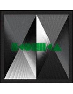 Ikonika - Idiot / Idiot (Altered Natives Remix)