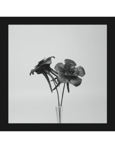 Jlin - Dark Lotus