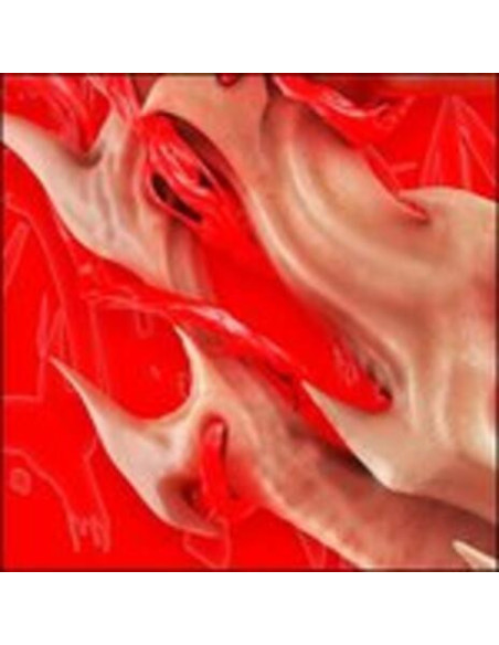Endgame - Flesh Ep