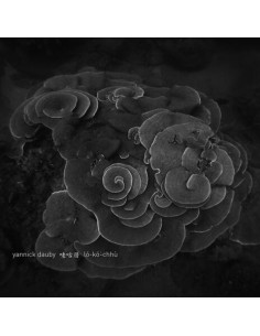 Dauby, Yannick - (Coral House) Penghu Experimental Sound