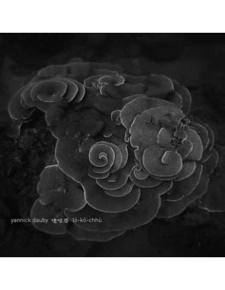 Dauby, Yannick - (Coral House) Penghu Experimental Sound