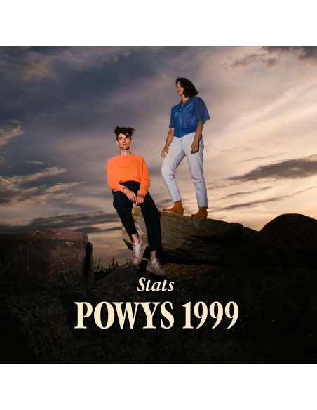 Stats - Powys 1999
