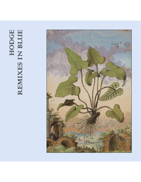 Hodge - Remixes In Blue (12p)