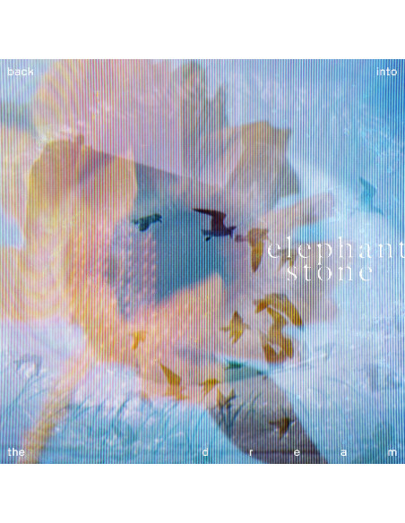 Elephant Stone - Back Into The Dream (Vinyl Clear)