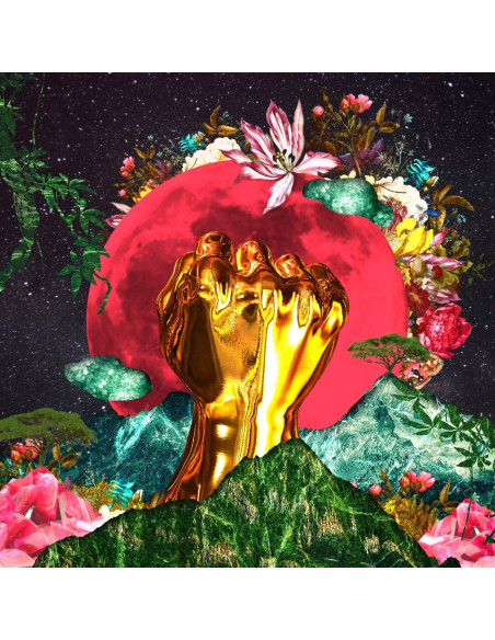 Mushonga Rina - In A Galaxy