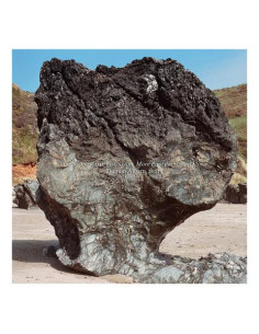 Damon Albarn - The Nearer The Fountain More Pure The Stream Flows X Disco D Oro