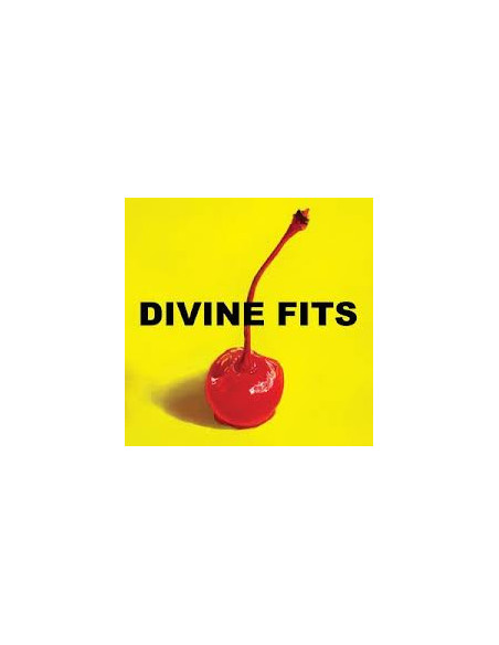 Divine Fits - A Thing Called Divine Fits