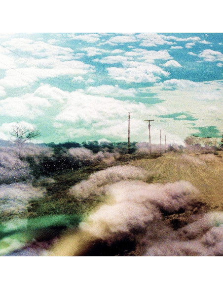 The World Is A Beautiful Place - Always Foreign