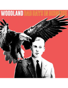 Woodland - Bad Days In Disguise