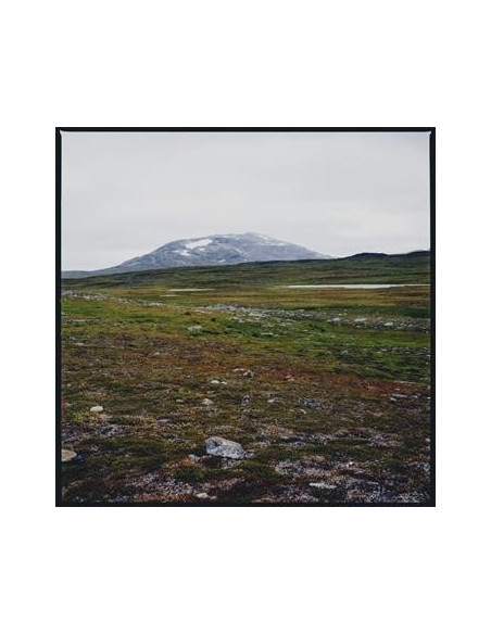 Gidge - Tundra