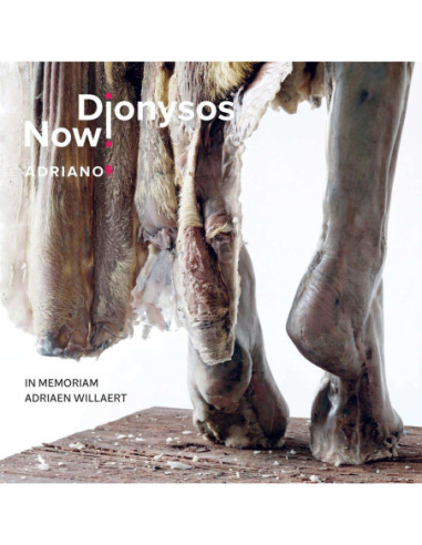 Dionysos Now! - Adriano 5 - (CD)