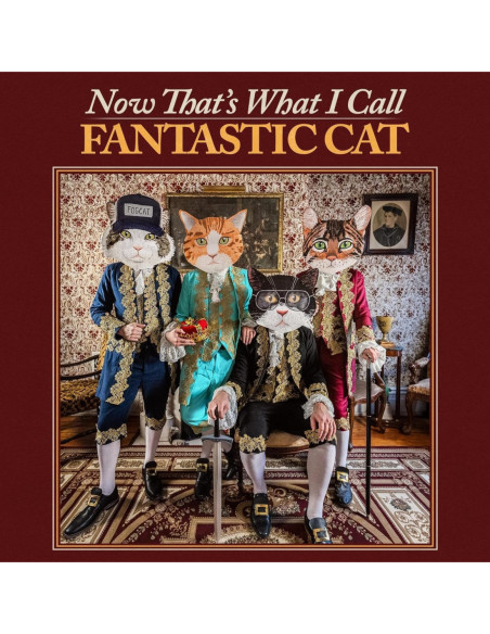 Fantastic Cat - Now That'S What I Call Fantastic Cat