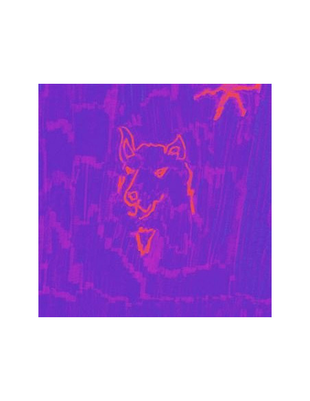 Dehd - Poetry - (CD)