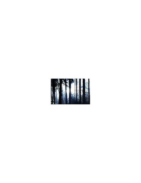 Anom Vitruv - 64311 - (CD)