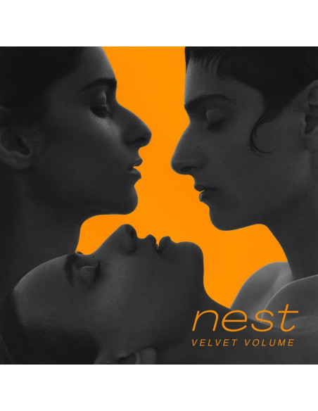 Velvet Volume - Nest