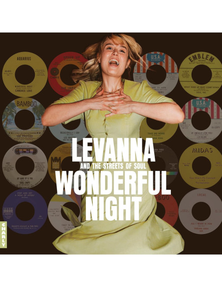 Compilation - Wonderful Night Curated By Levanna